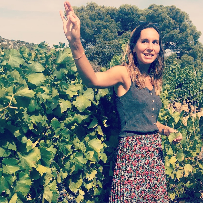 Wine Tour Vintage en Combi Dégustation de vins Les meilleurs crus les plus beaux domaines Dentelles de Montmirail