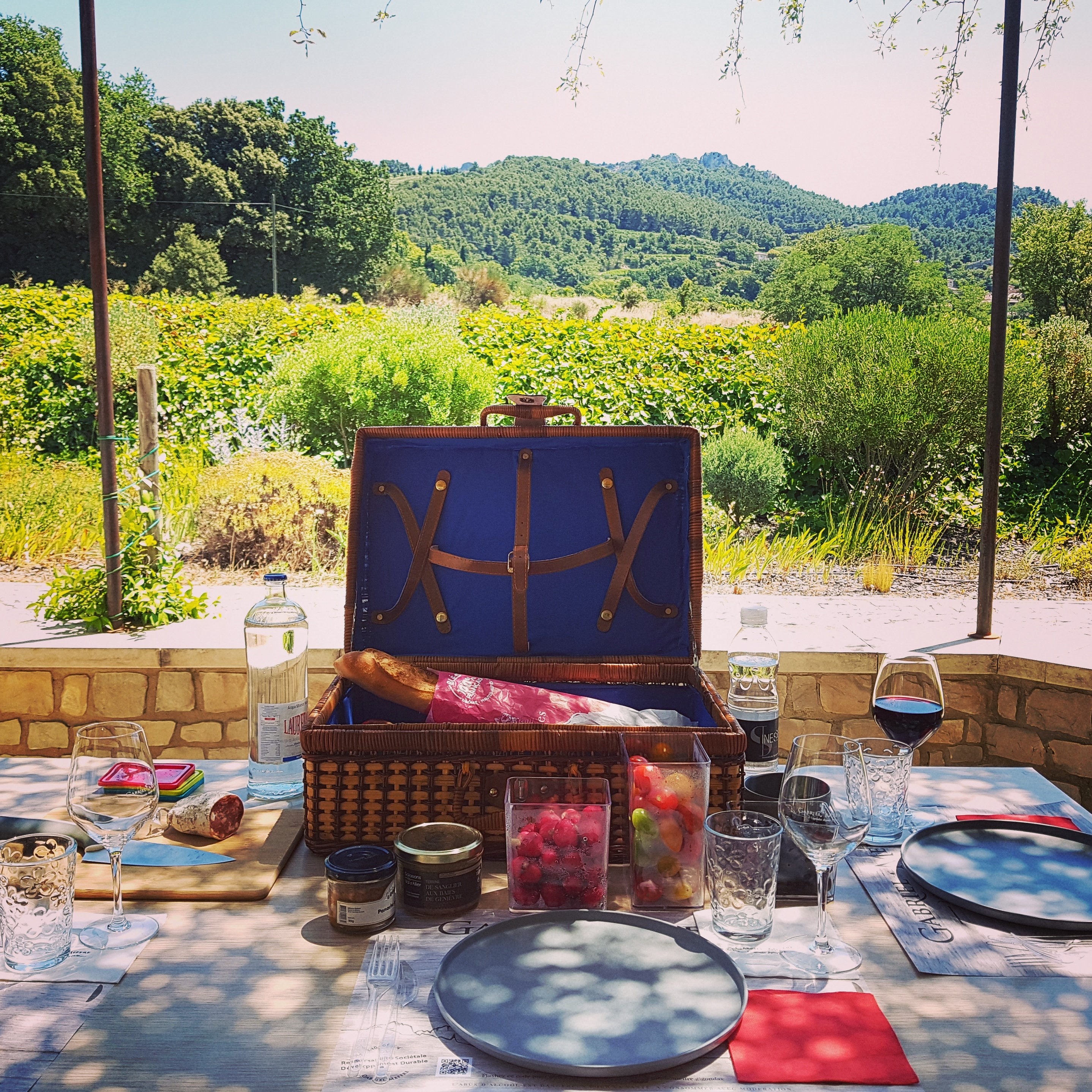 Journée oenogastronomique au domaine Gigondas Dégustation Oenologie Balade dans le Vignoble Visite de cave Les meilleurs crus