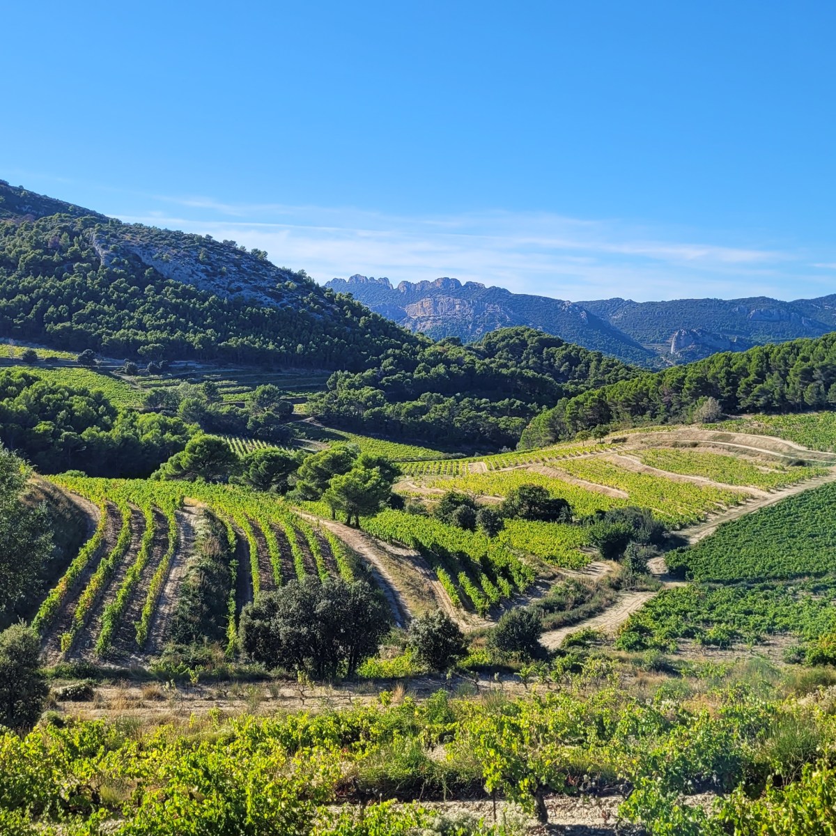 Balade &laquo;&nbsp;Petit coin de paradis&nbsp;&raquo;